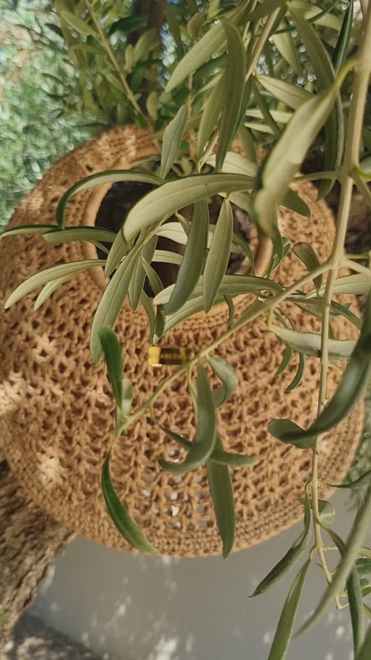 Summer Straw Raffia Bag - Jeny