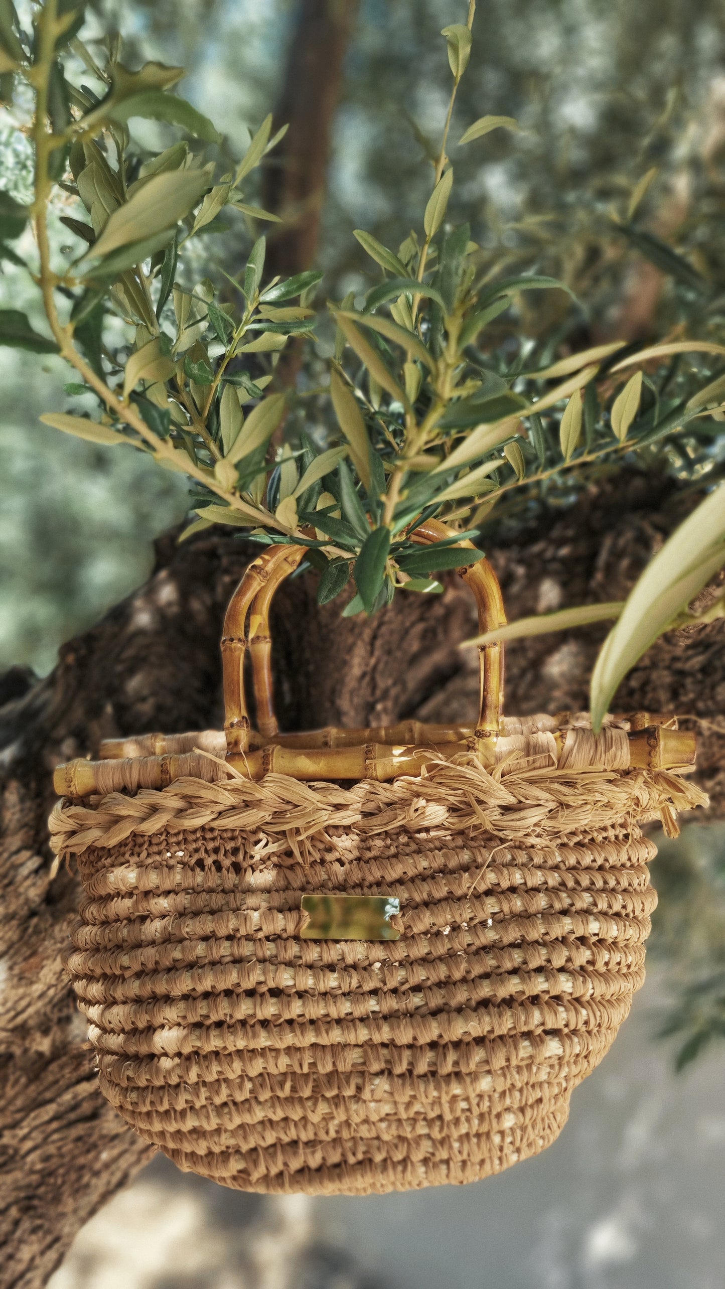 Summer Straw Raffia Bag with Bamboo Handles - Cortny