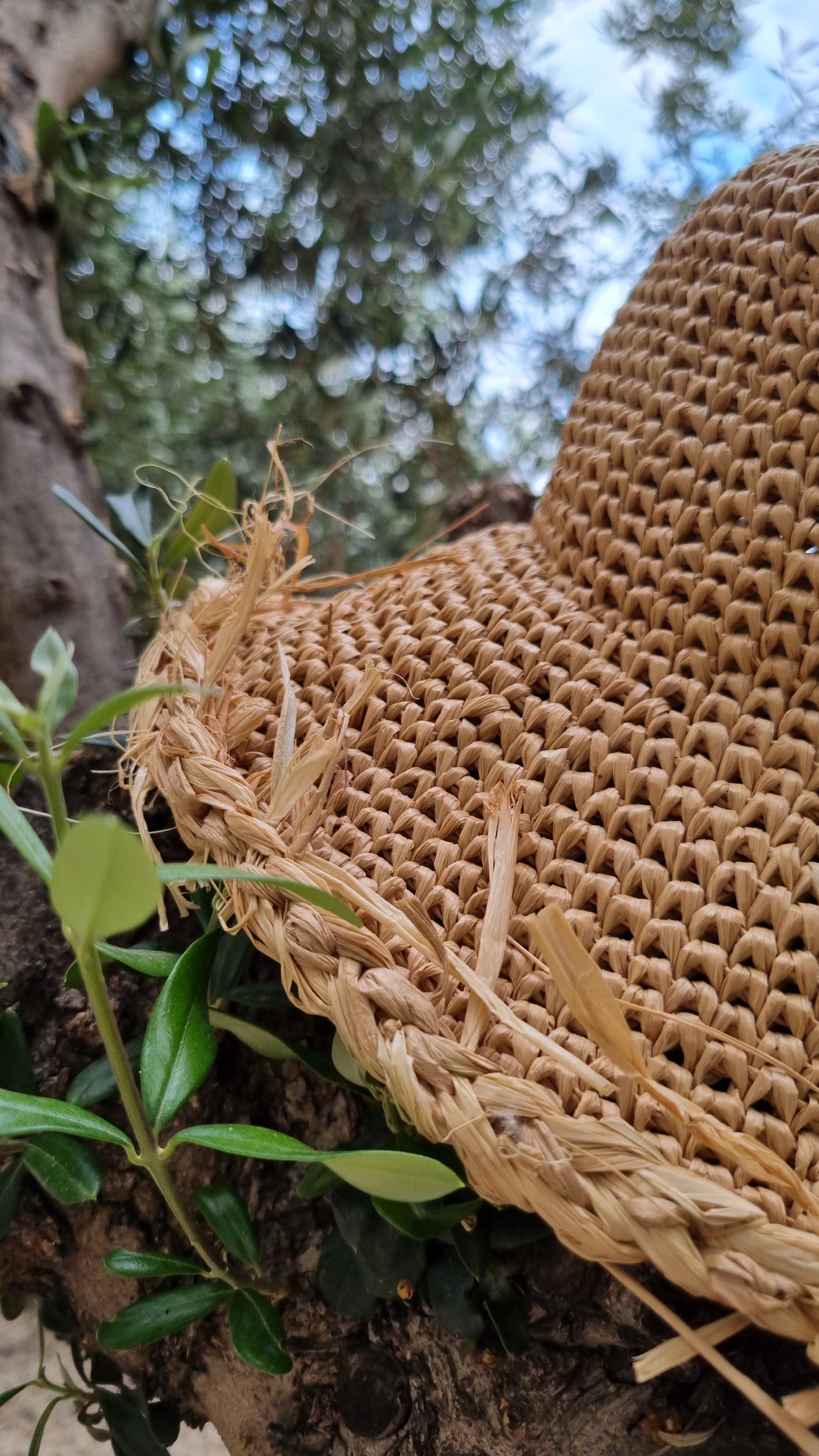 Raffia Summer Hat Panama - Villa
