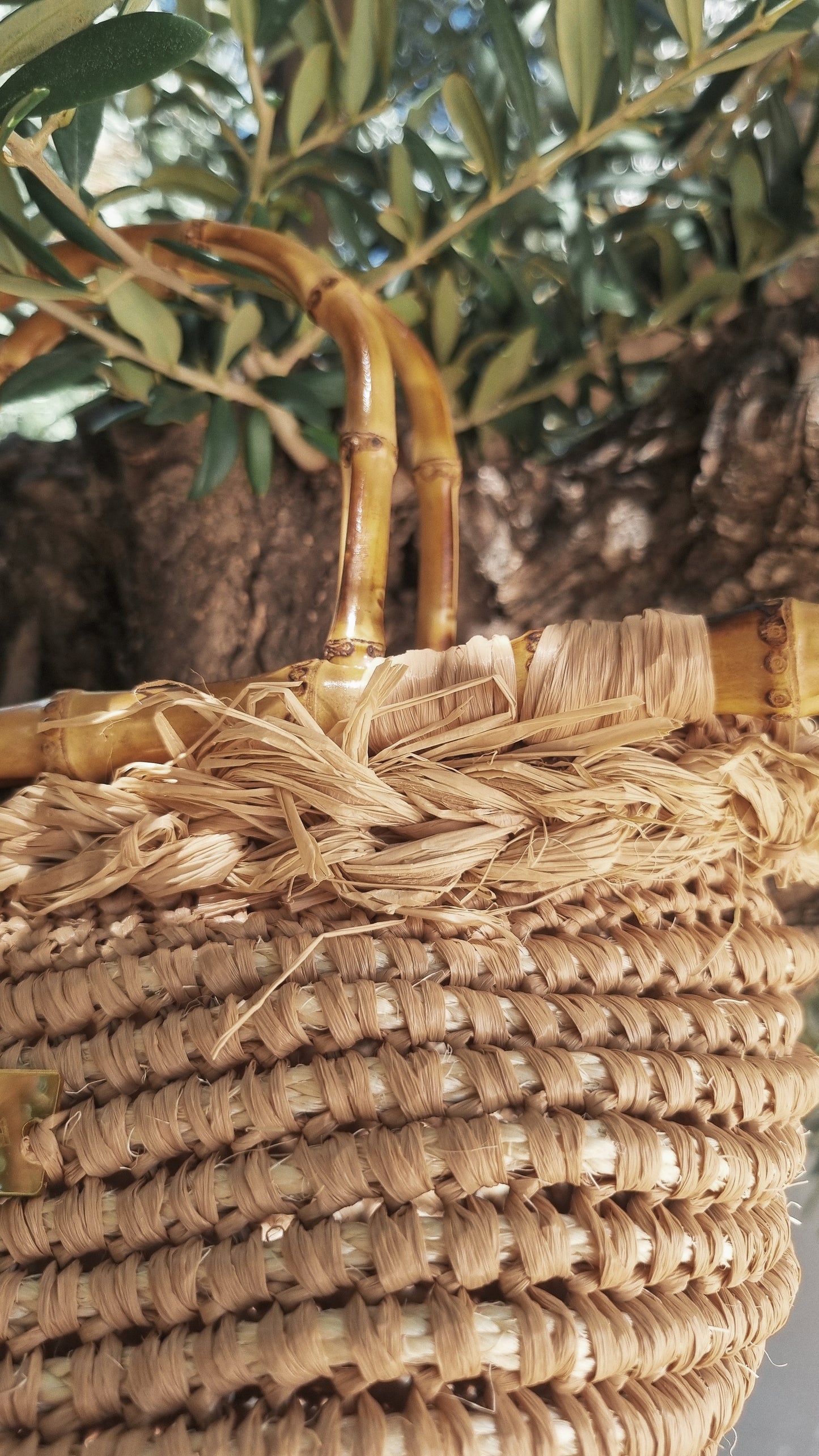 Summer Straw Raffia Bag with Bamboo Handles - Cortny