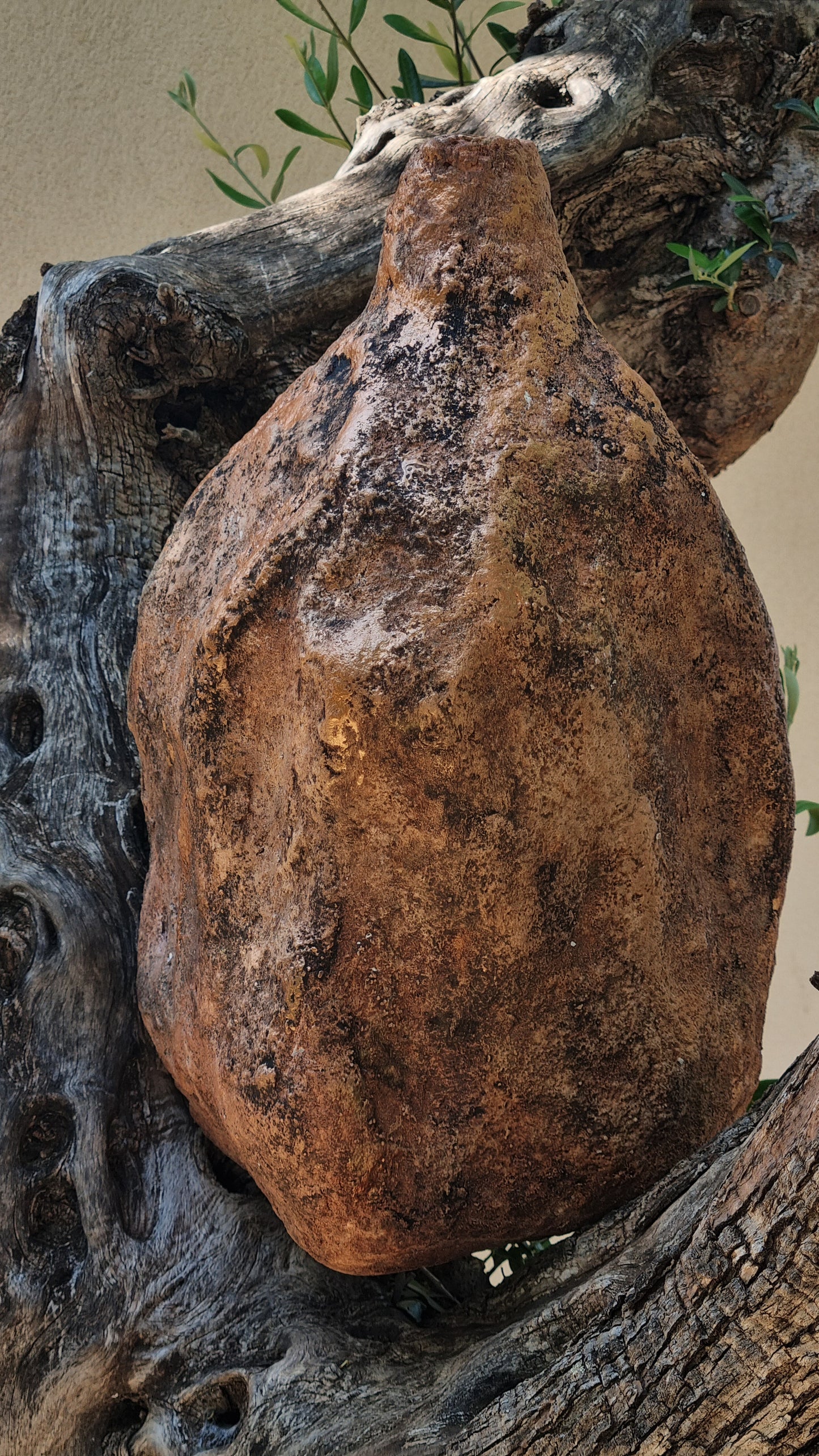 Sculptural Decorative Vase - Lavise