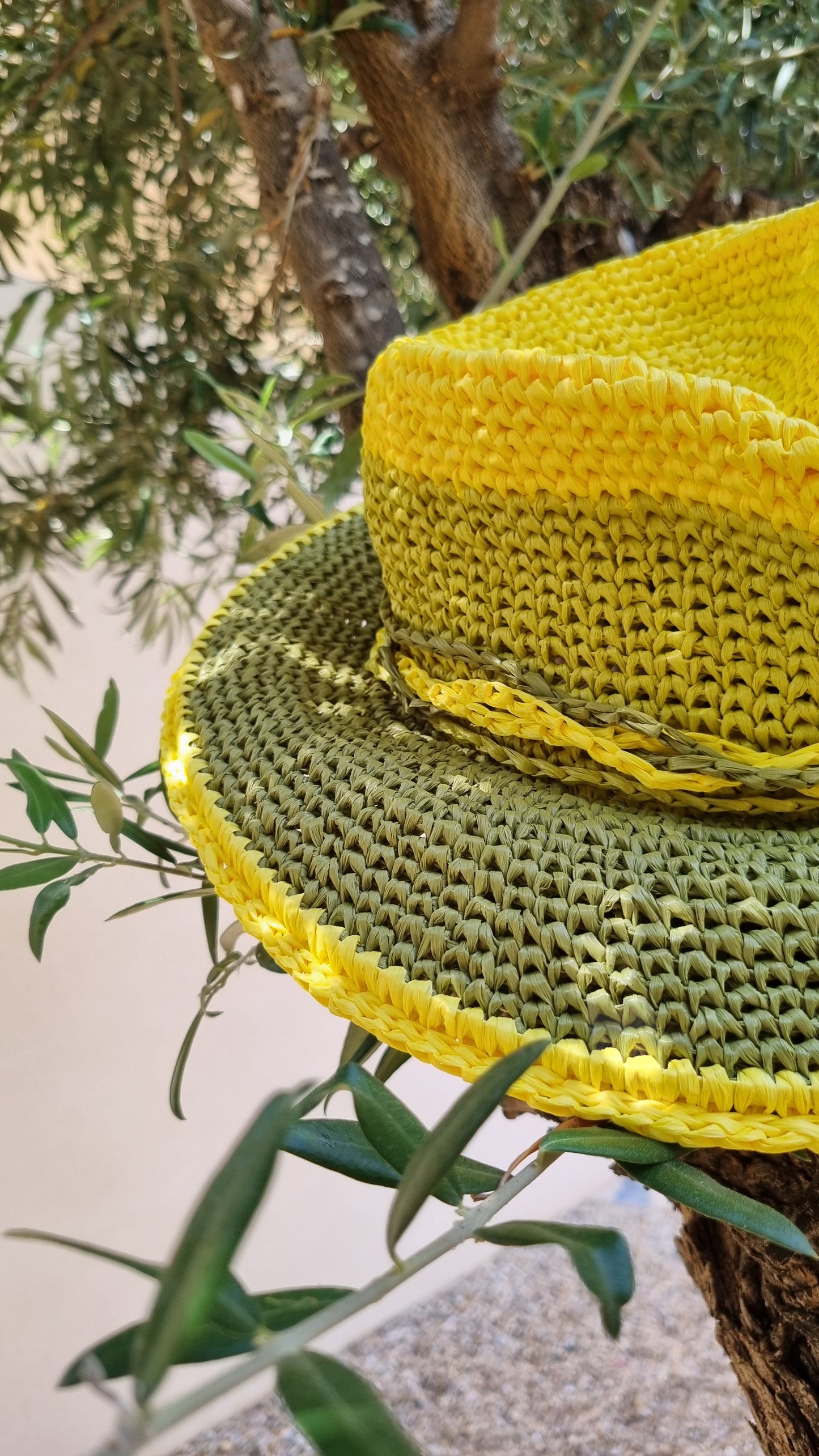 Raffia Summer Hat Fedora - Avisa