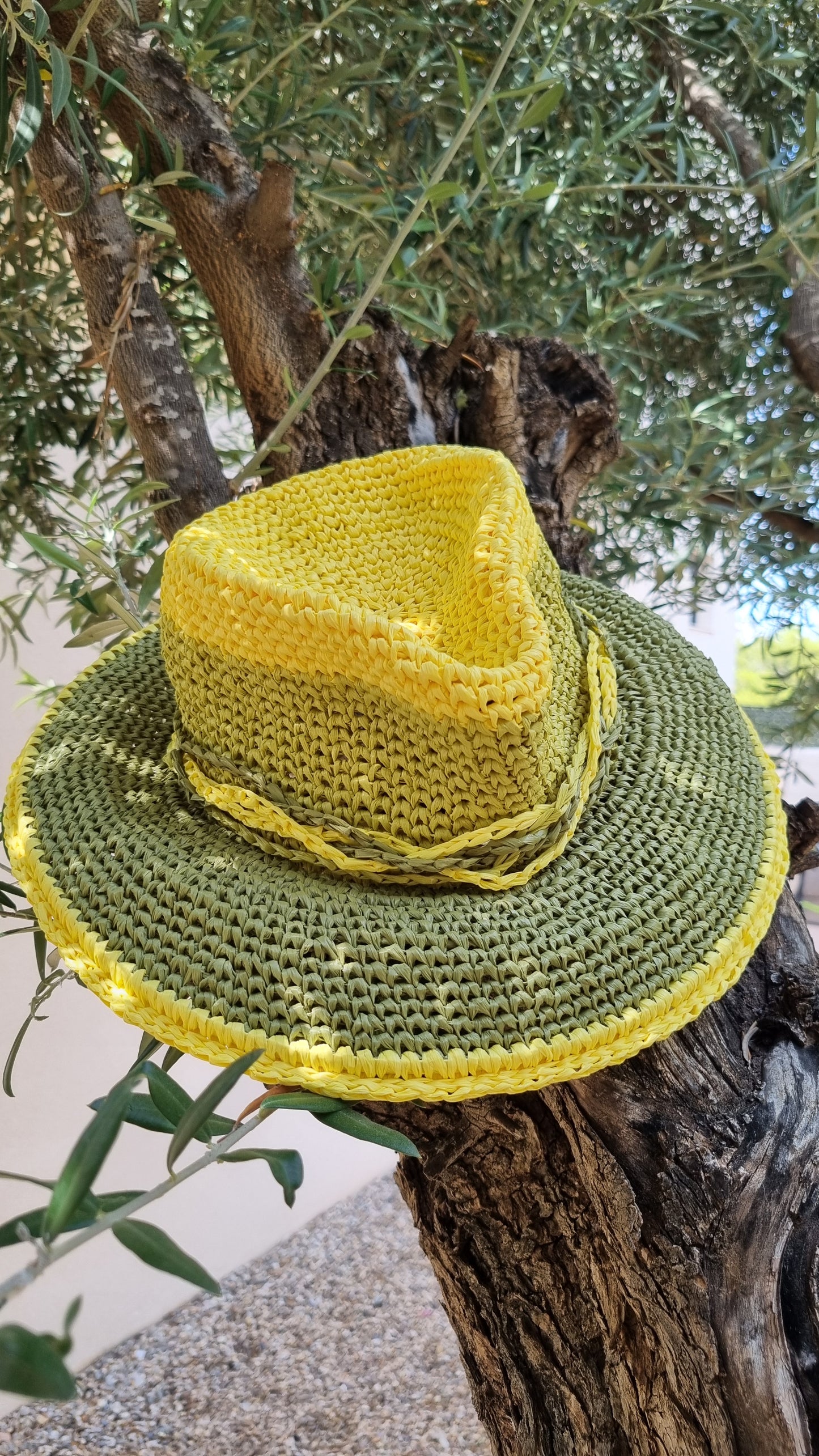 Raffia Summer Hat Fedora - Avisa