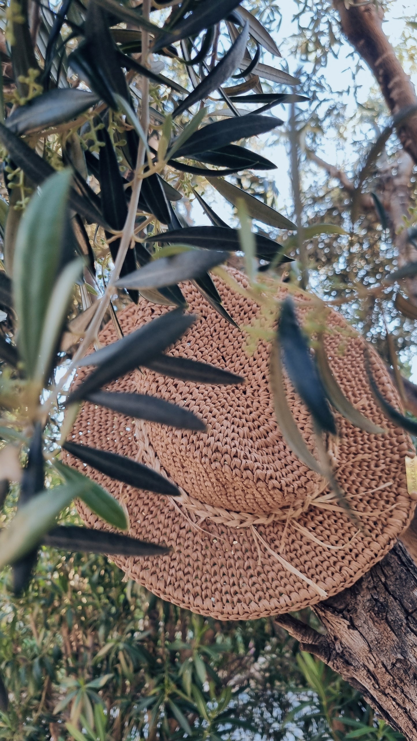 Raffia Summer Hat Fedora - Agrippina