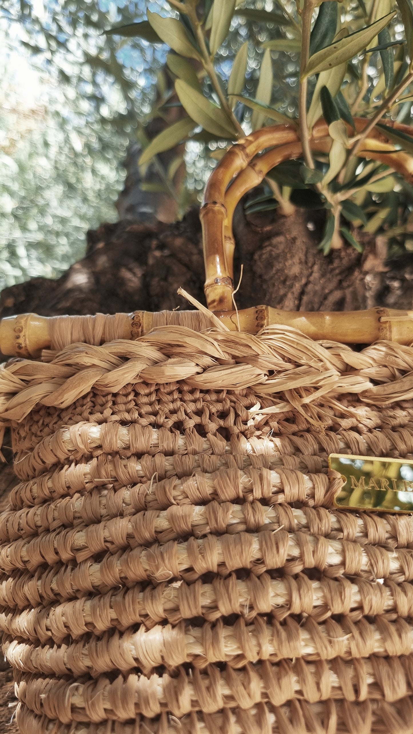 Summer Straw Raffia Bag with Bamboo Handles - Cortny