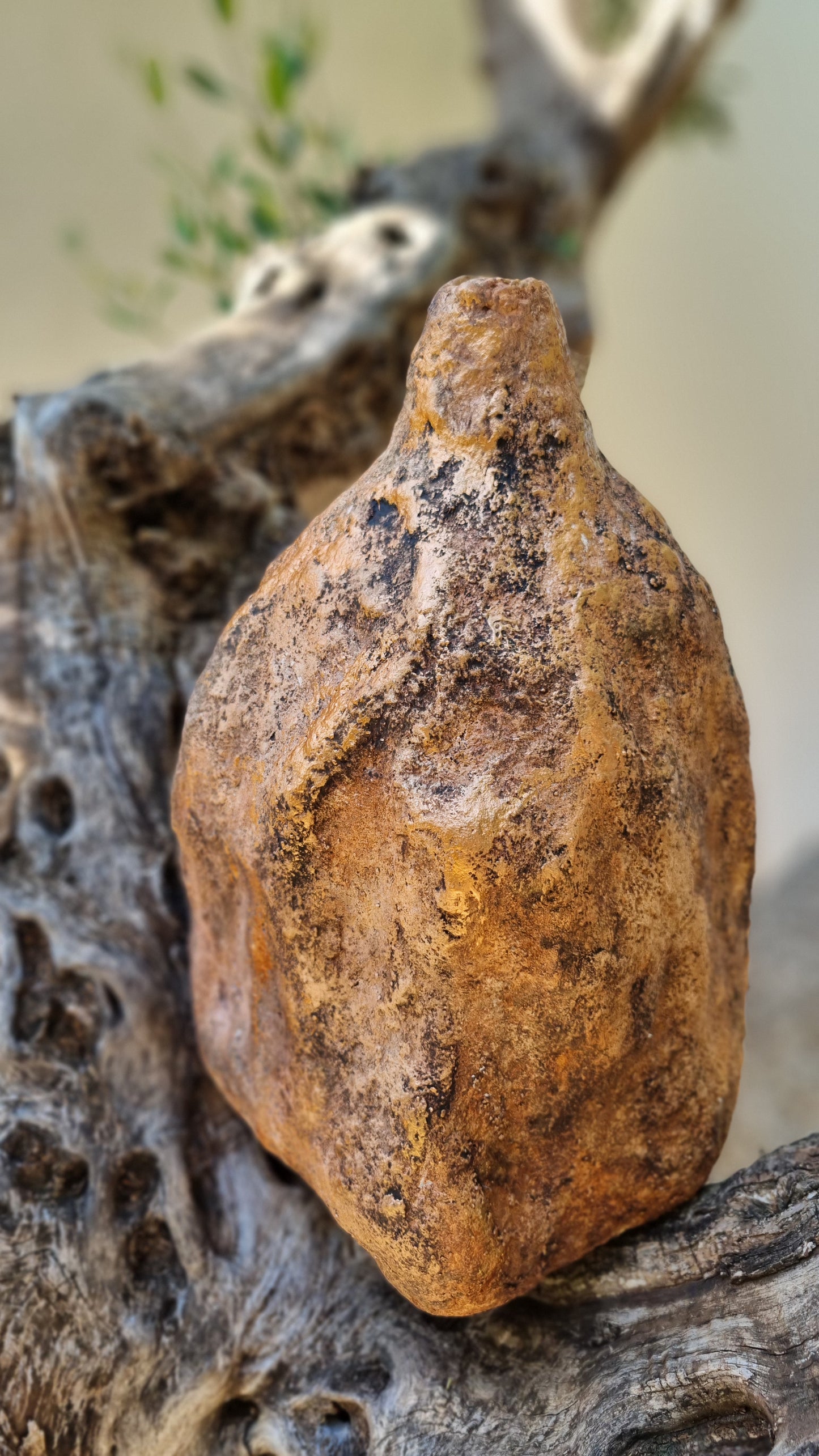 Sculptural Decorative Vase - Lavise