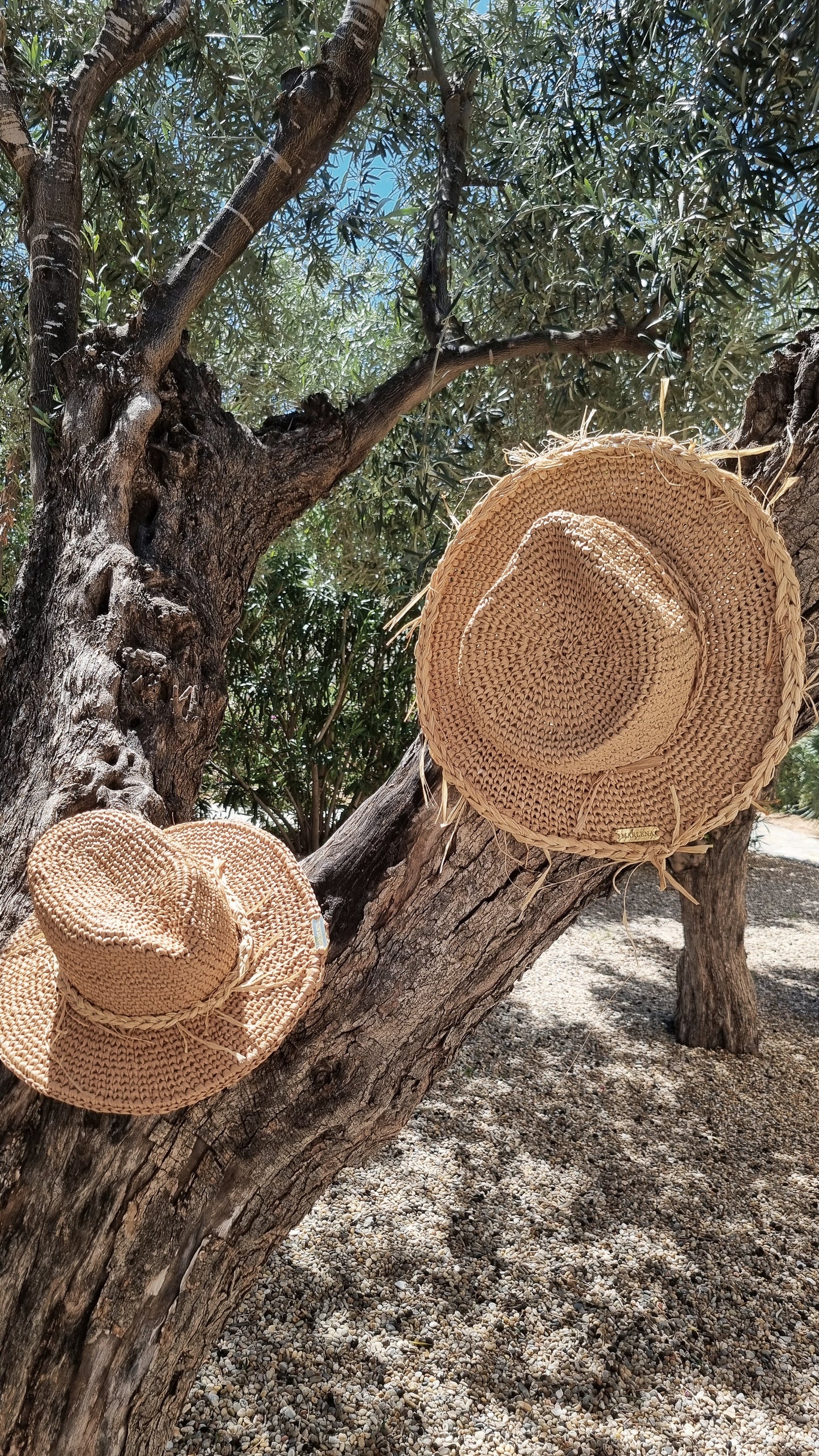 Raffia Summer Hat Fedora - Calpurnia