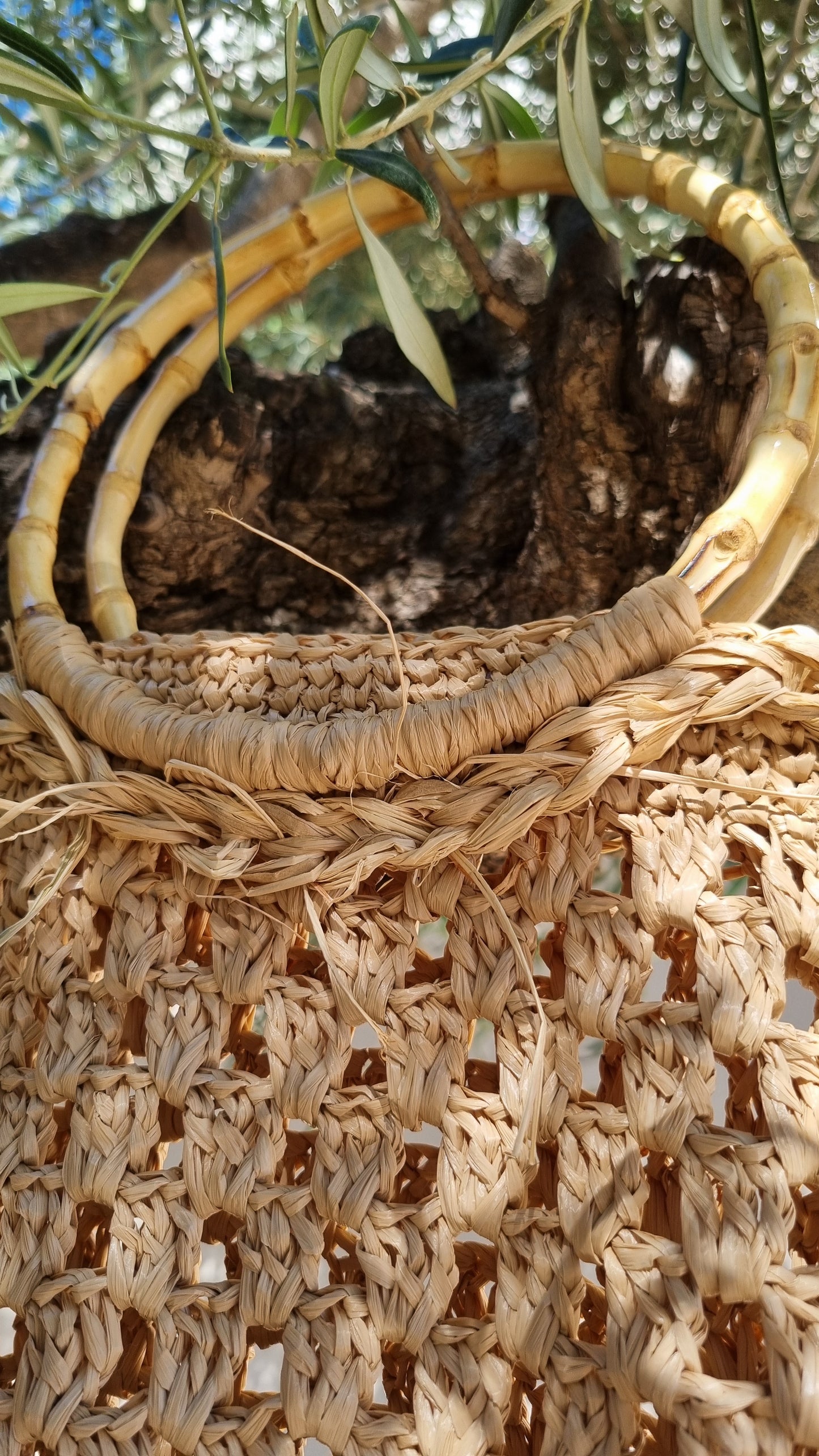 Raffia Bag with Bamboo Handles - Aemilia