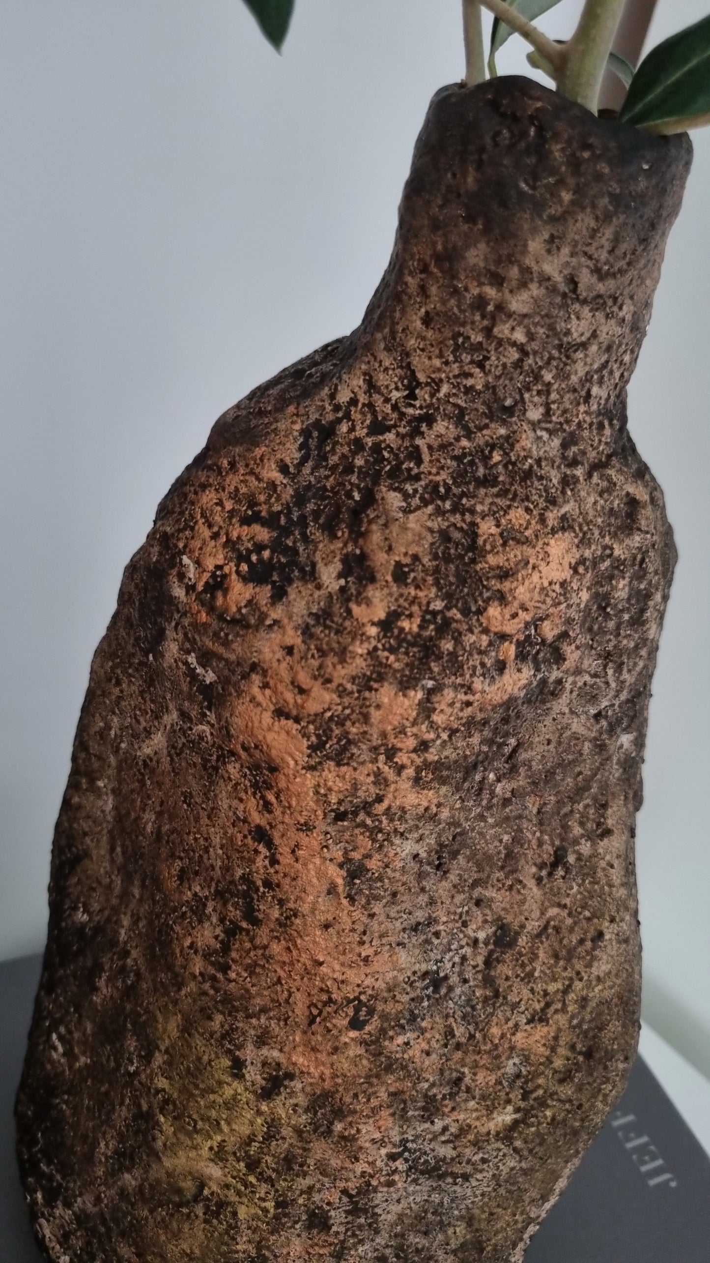 Sculptural Decorative Vase - Orpah