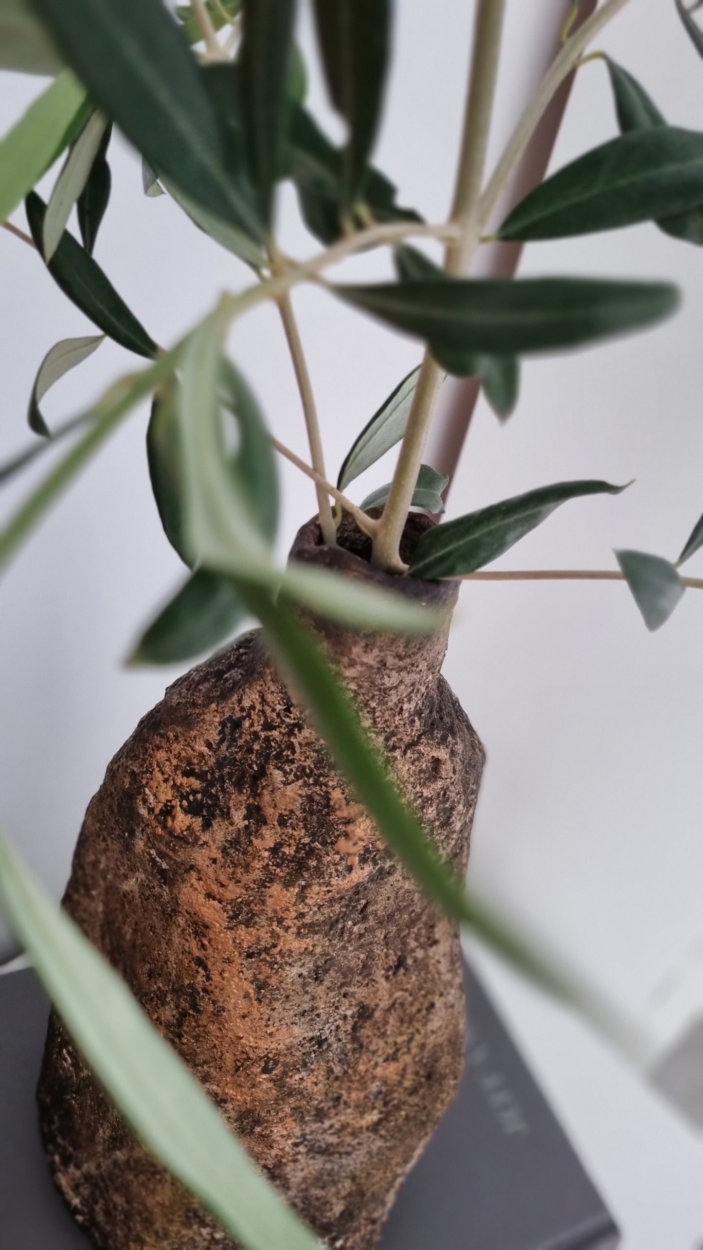 Sculptural Decorative Vase - Orpah
